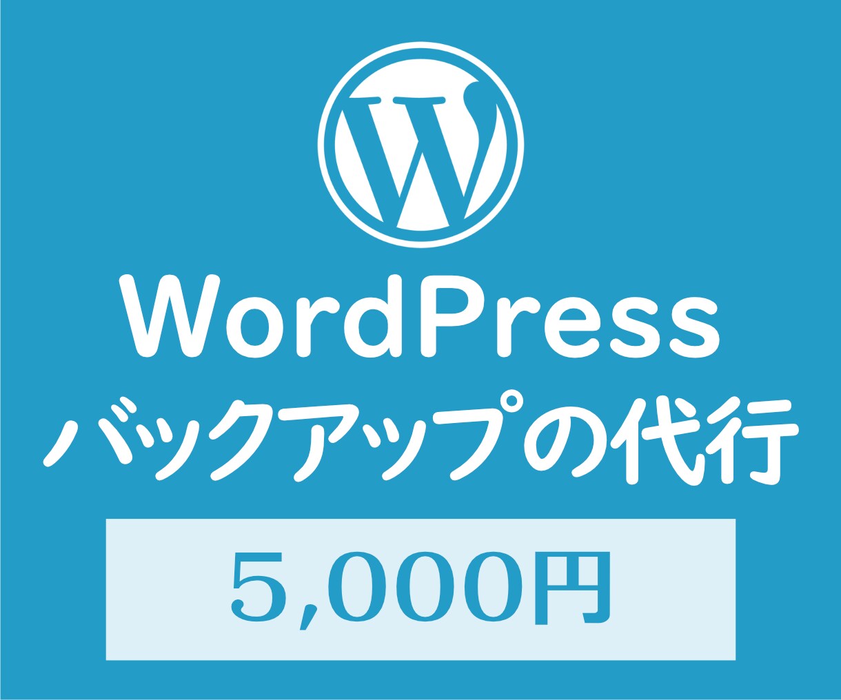 WordPressのバックアップを代行します ワードプレスのバックアップで不測の事態に備えましょう！ イメージ1