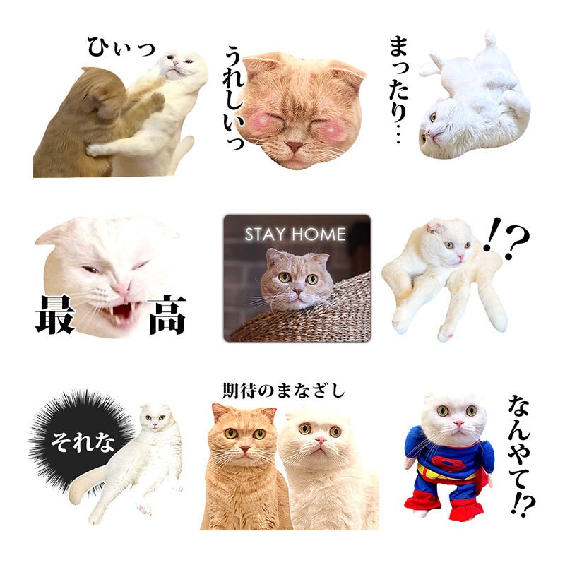 ペット、お子様のお写真でLINEスタンプ作ります 可愛くシュールに！アレンジしてお作りします。 イメージ6