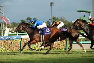 今週の競馬重賞予想します スプリンターズSとシリウスS当てたい方へ！ イメージ1