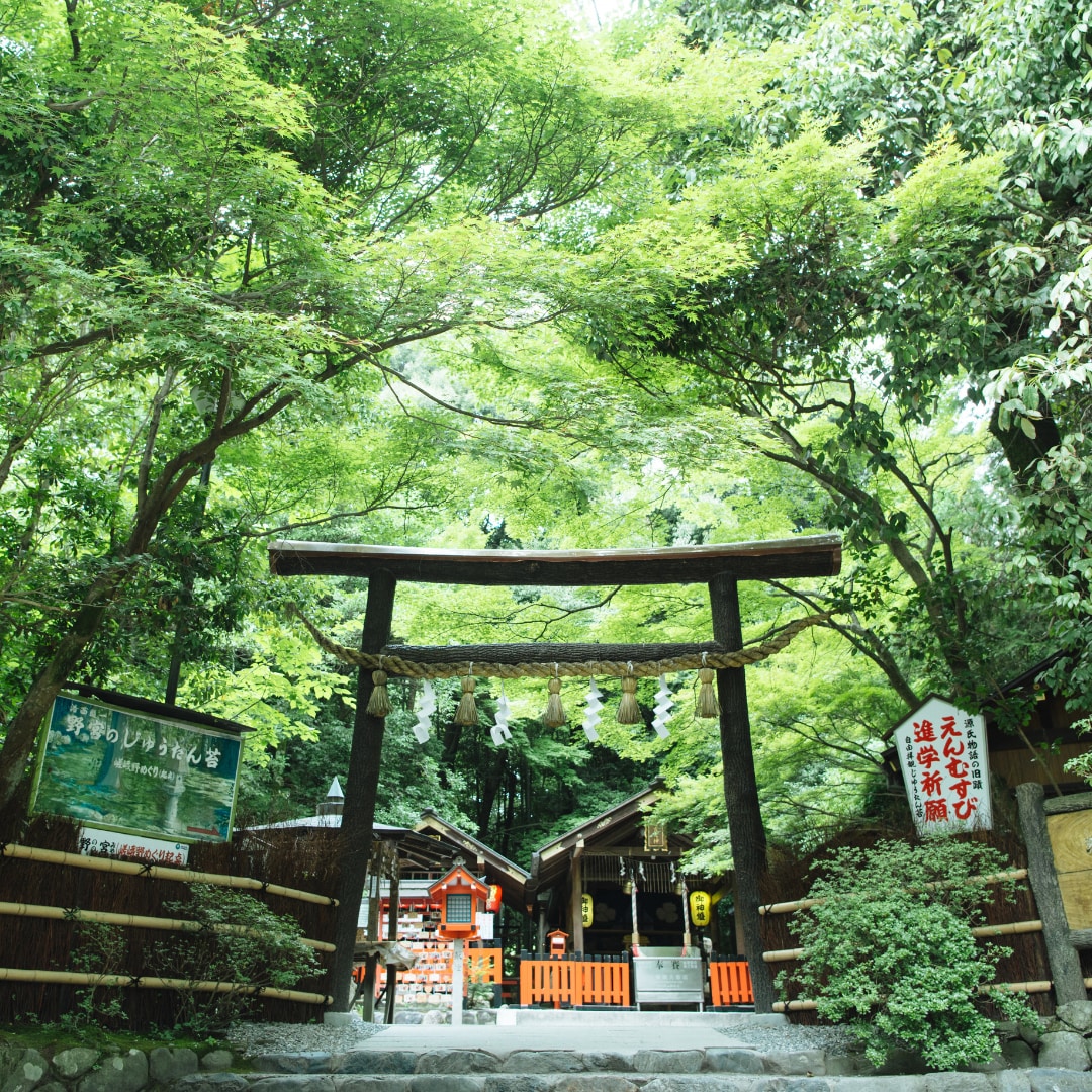復縁の可能性・彼の気持ちを霊視タロットで占います 復縁・音信不通に悩む方へ。彼の本音と連絡のタイミングまで鑑定 イメージ9