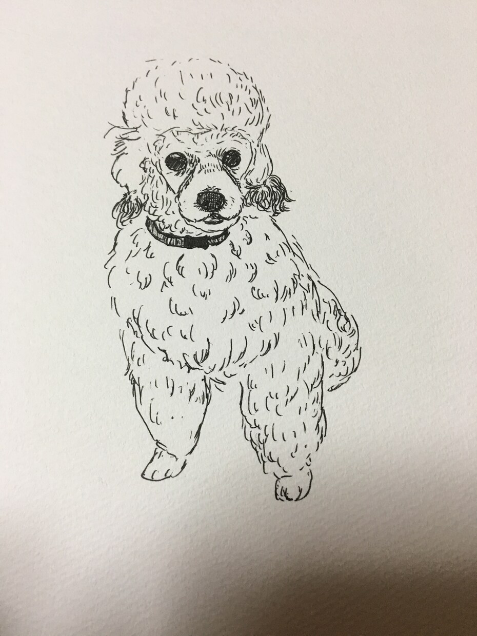 ペットのイラスト描きます 大切なペットのイラストをペン画で描きます！ イメージ5