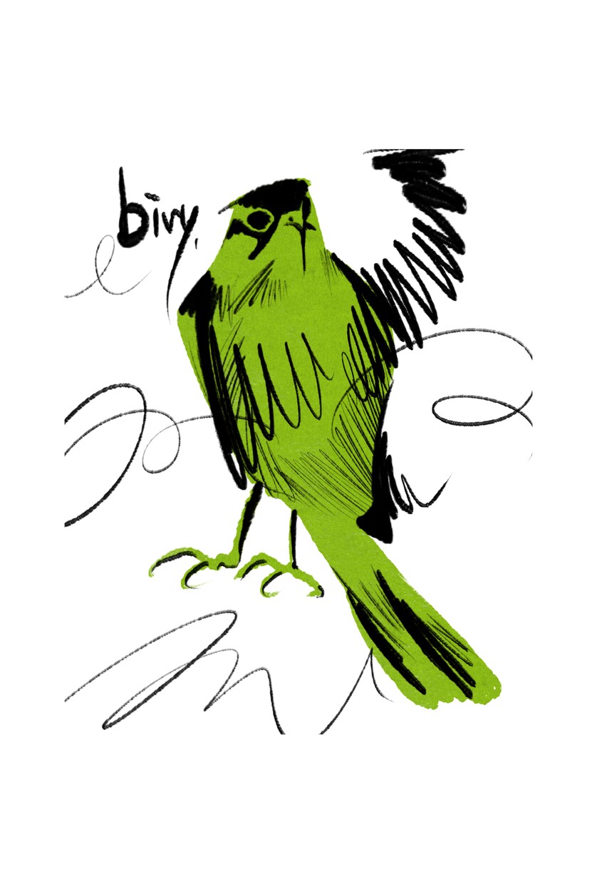 モードにオリジナティ溢れるイラスト作成します 人物、動物、その他様々なモチーフお気軽にご相談ください！ イメージ9