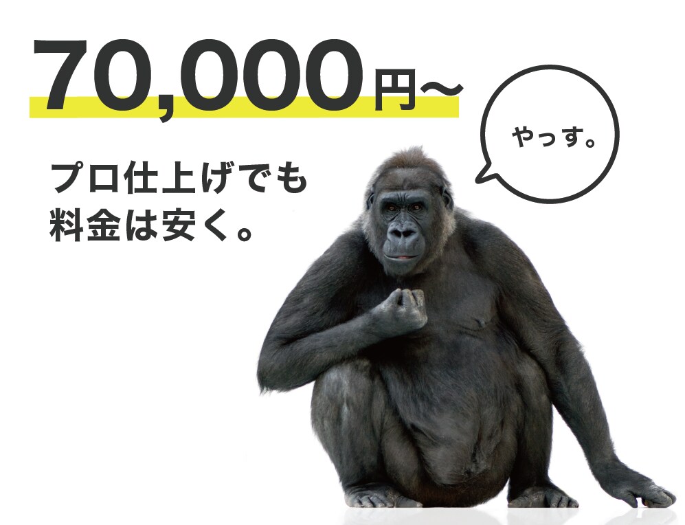 低価格高品質で速くランディングページ・LP作ります 業界実績10年以上！スマホ対応ランディングページはお任せあれ イメージ3