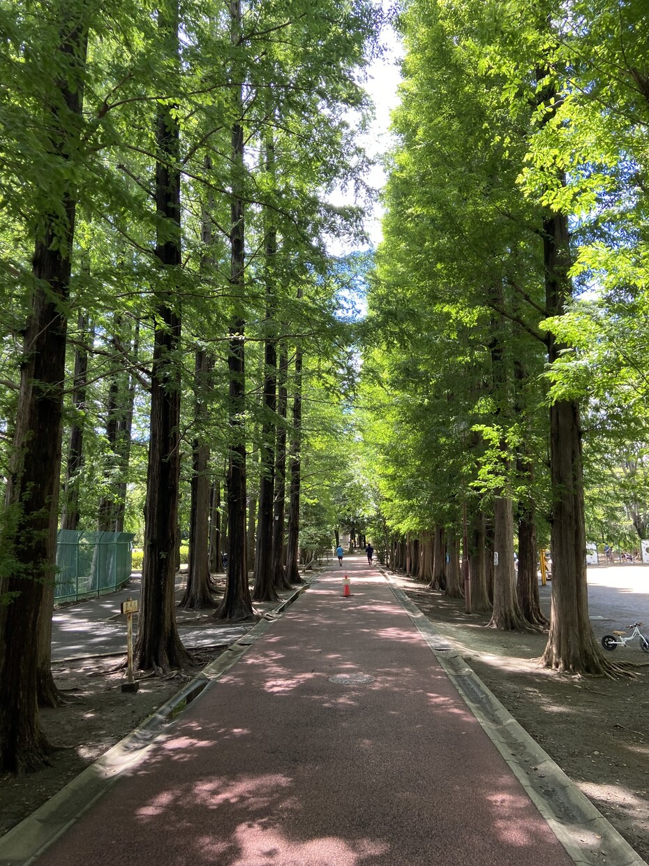 写真素材の相談お受けします 屋外の写真や喫茶店の写真をお探しの方に イメージ1