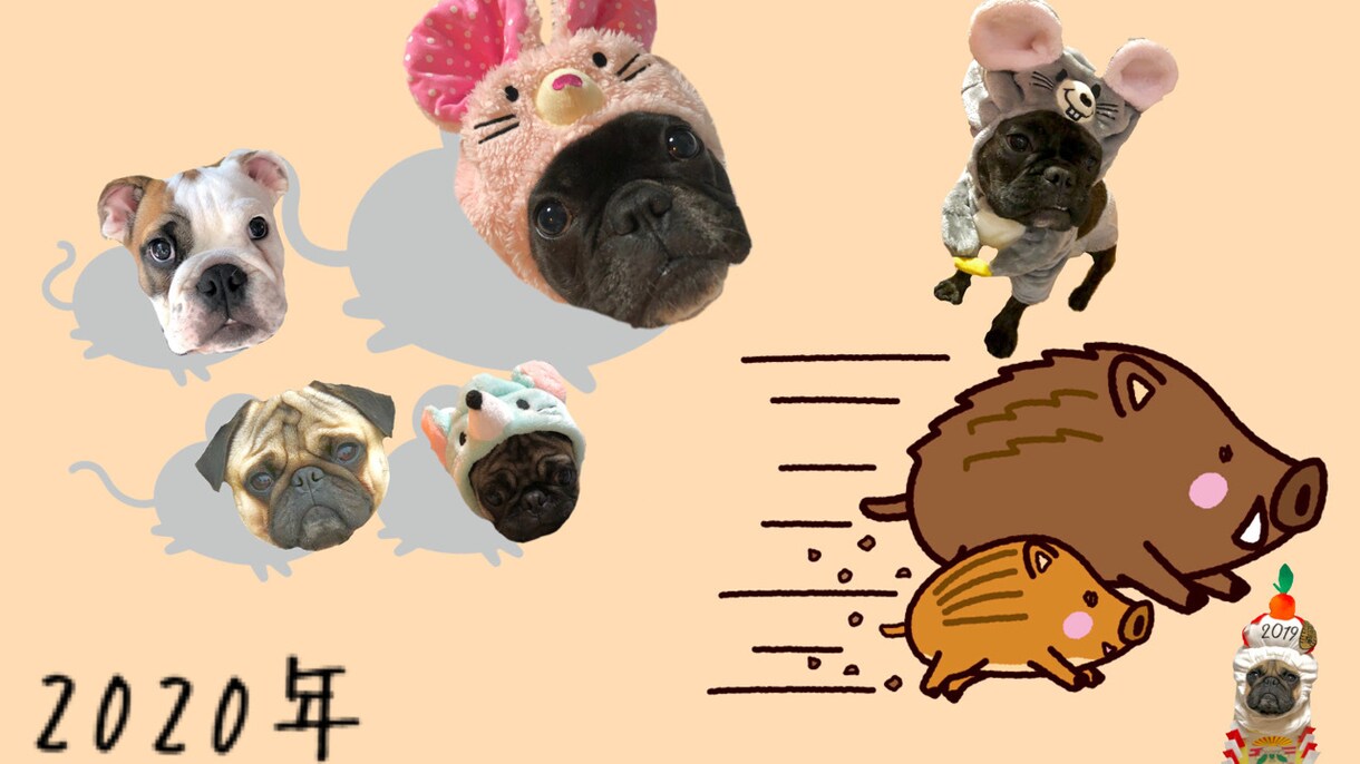 自慢のうちの子写真動画作ります SNSでみんなの目を引く投稿をしよう イメージ4