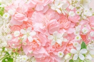 どんな気分の時もあなたに優しく寄り添います 悲しい時は悲しんでいい。それは永遠に続くわけじゃない イメージ8