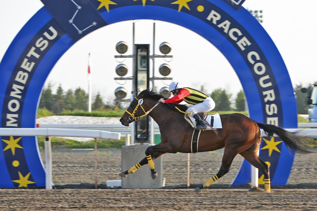門別競馬予想☆少頭数で的中目指します オッズ無視の人気に左右されない予想をしています☆ イメージ1
