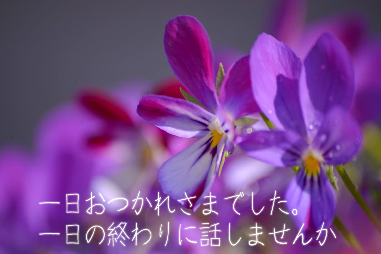 話を聴いてほしい!どんなお話も全力でお聴きします 現役生活相談員。国家資格複数保持。安心してお話ください。 イメージ10