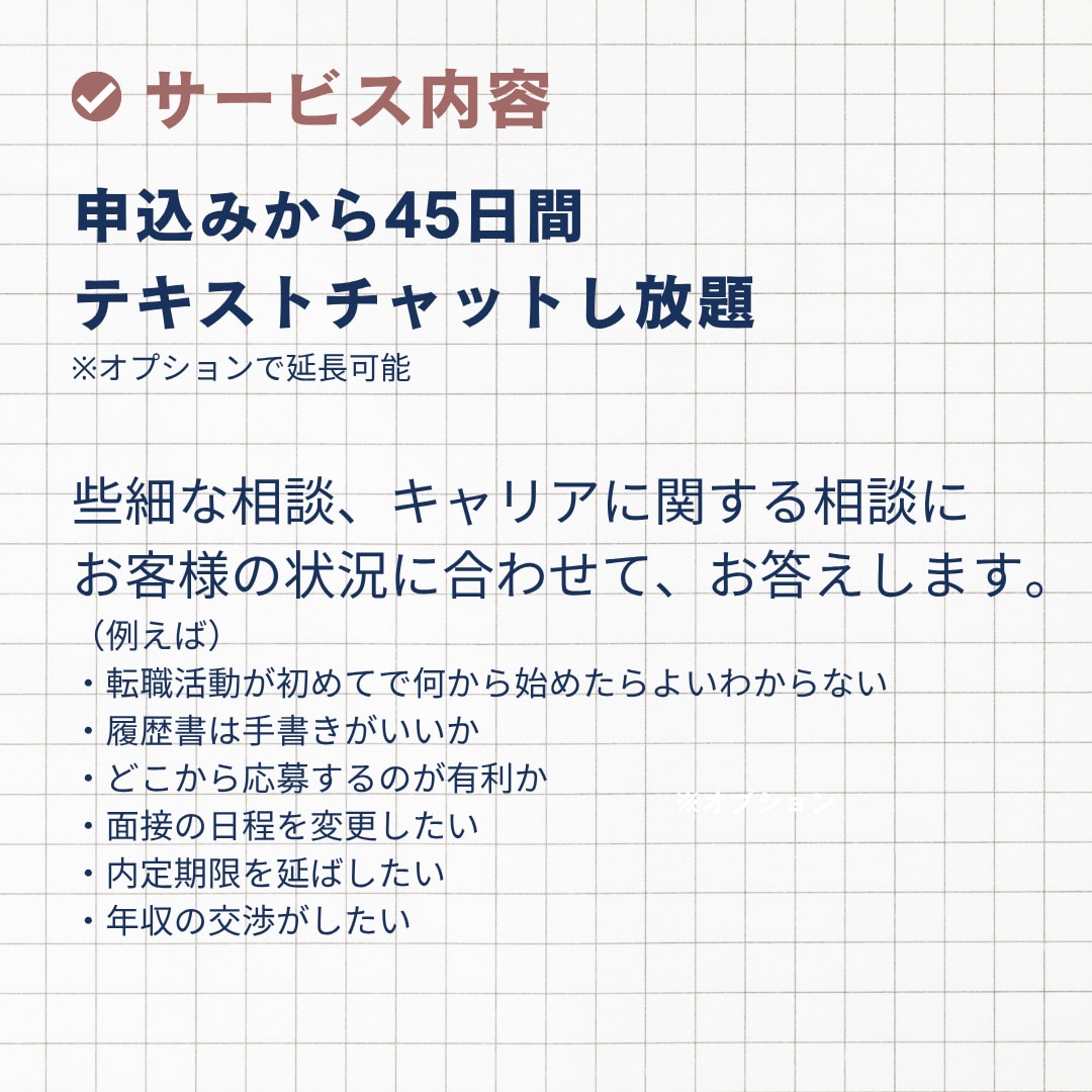 転職活動を45日間伴走｜採用人事がサポートします 人事・転職エージェントの【具体的なノウハウ】で転職を成功へ イメージ2