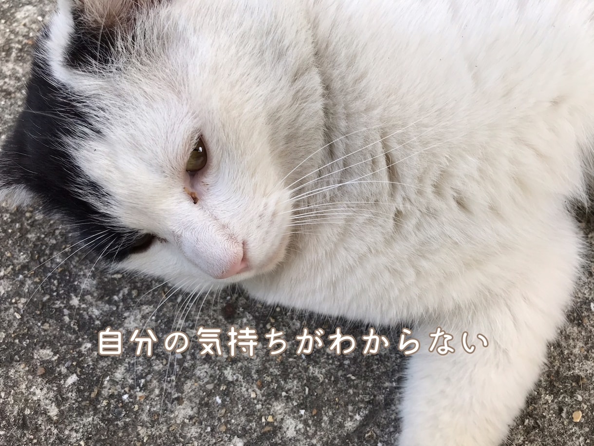 もっと楽しく毎日を過ごせるように、笑顔へと導きます ★自分を好きになりたい、自信を持ちたいあなたを全力でサポート イメージ3