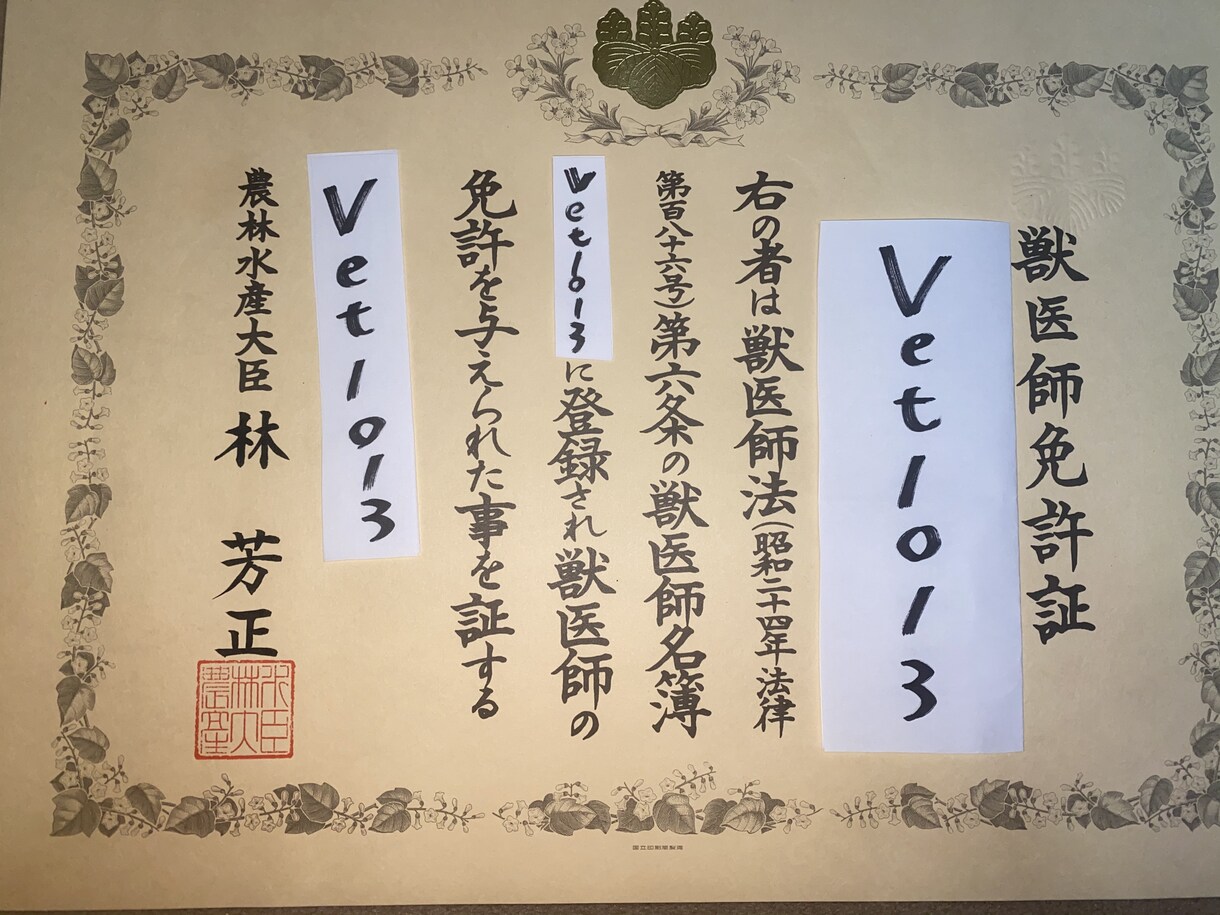 犬・猫のワクチン、ノミダニ、フィラリアを解説します 現役獣医師による予防医療の必要性、間隔、商品を解説します。 イメージ1
