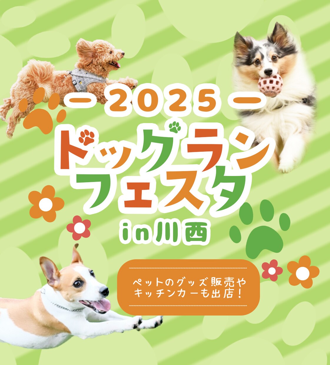 ペット事業専門！心をつかむ広告バナー制作します ペット関連のビジネスに特化した広告バナーをデザインします！ イメージ3