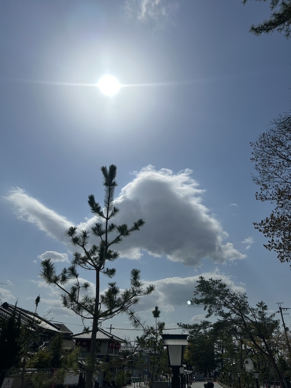大切なペットの“気持ち”を丁寧にお伝えします 【優しいメッセージ付き】（亡くなった子もOK） イメージ3