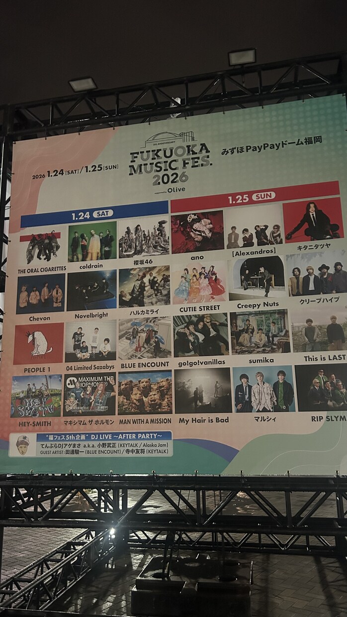 あなたにおすすめの曲をお送り致します 邦ロ好き必見！年間20公演行く自分があなたに合う曲選びます イメージ1