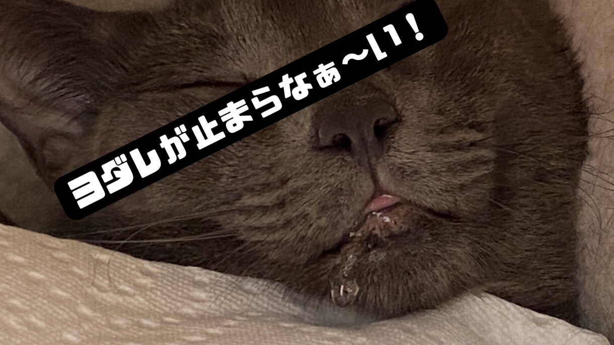 動画編集　日・西翻訳・丁寧  に対応します 緻密なコミュニケーションでお客様をサポート。 イメージ3
