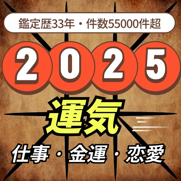 2025年の運気（仕事、金運、恋愛）鑑定致します 鑑定55000件超・長年蓄積されたノウハウをご体験ください。 イメージ1