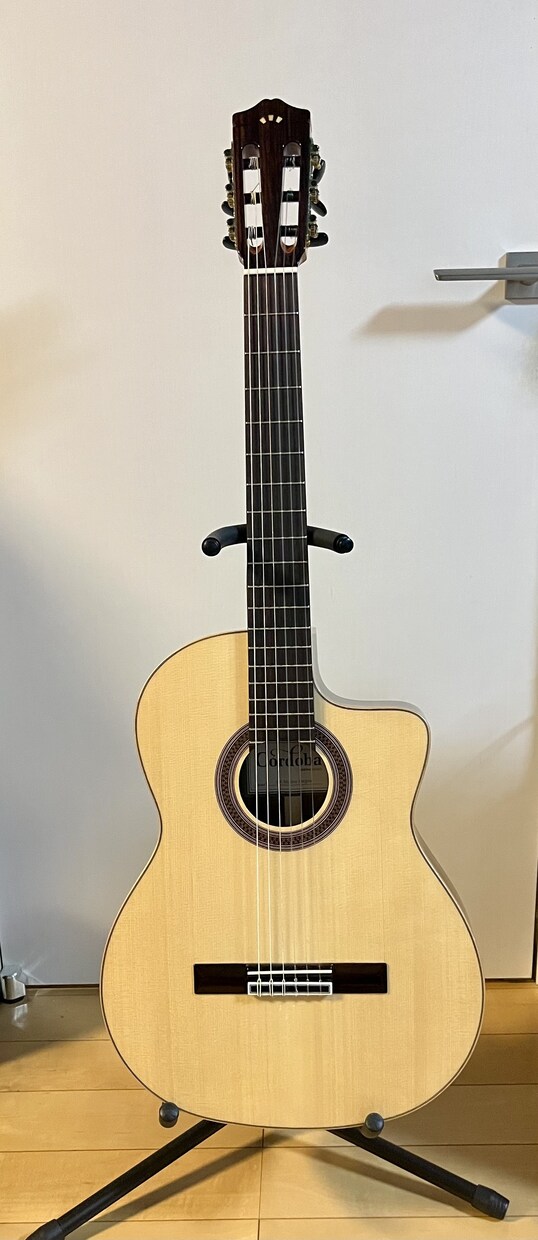 エレキギター、ベースの生演奏音源作ります 譜面なくてもOK！どんなジャンルも受け付けております♪ イメージ2