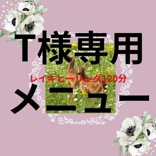 T様専用レイキヒーリングでございます T様専用のため他のお客様はお受けできかねます イメージ1