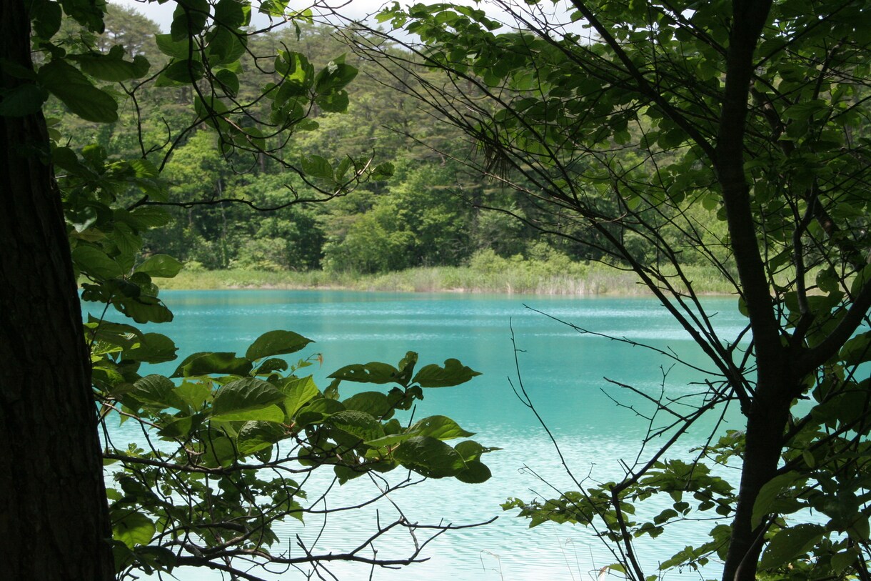 思い出(旅行等)の写真や動画を１本のDVDにします 家族や仲間で集まってテレビ画面で思い出ムービーを見ませんか？ イメージ2