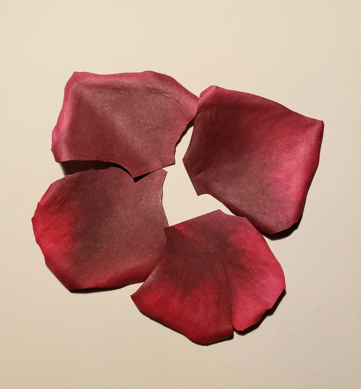 紙のオーダーフラワーをお作りいたします 紙で花びらを1枚ずつ制作したお花を完全オーダーメイド。 イメージ5