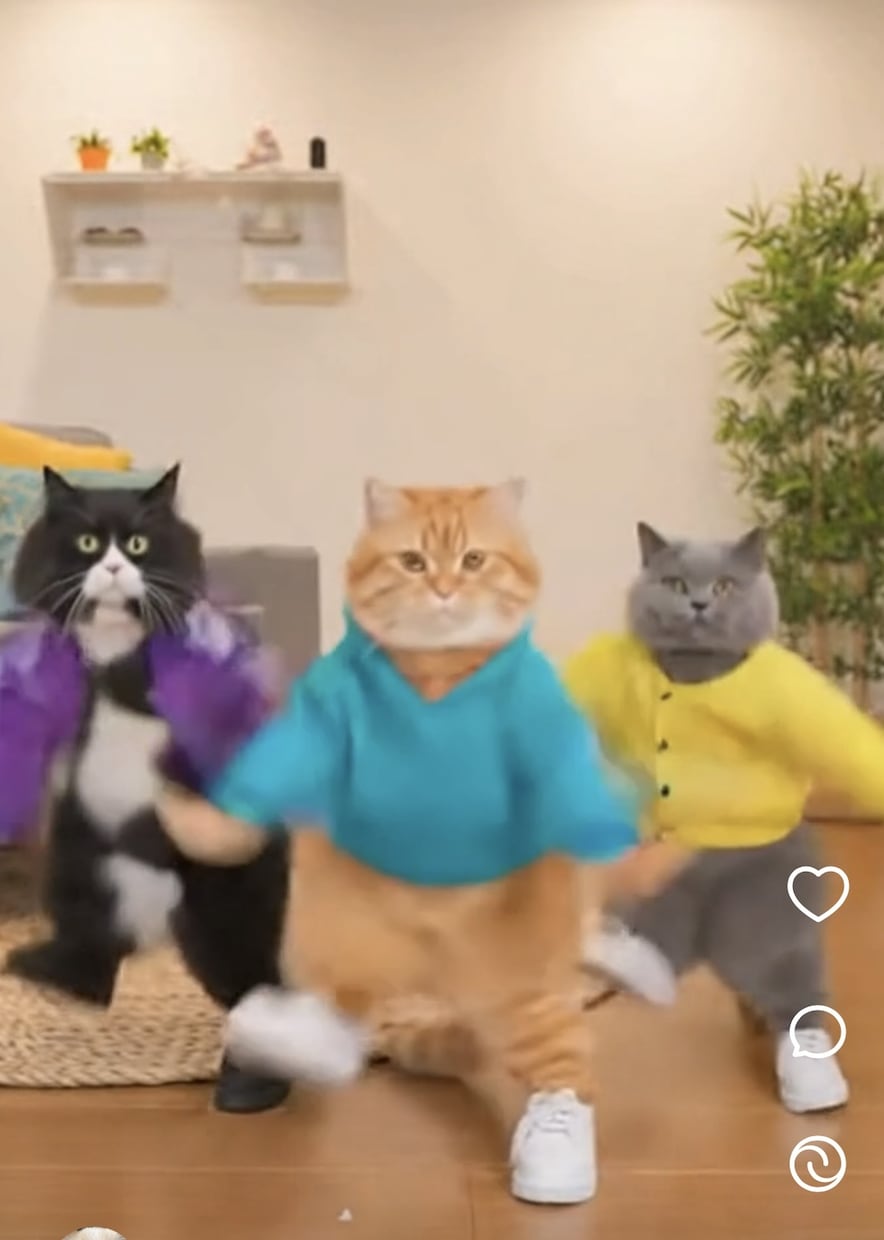 スマホでAI動画作る方法教えます 無料でスマホ動画が作る方法お教えいたします イメージ2