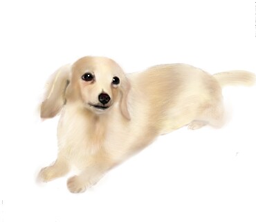 ペットの似顔絵お描きします 大切な家族の素敵な似顔絵をお届けします イメージ1