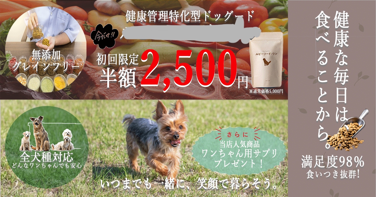 リーズナブルでサービス充実！バナーを制作します ラフ提案あり！無料修正も承ります。 イメージ7
