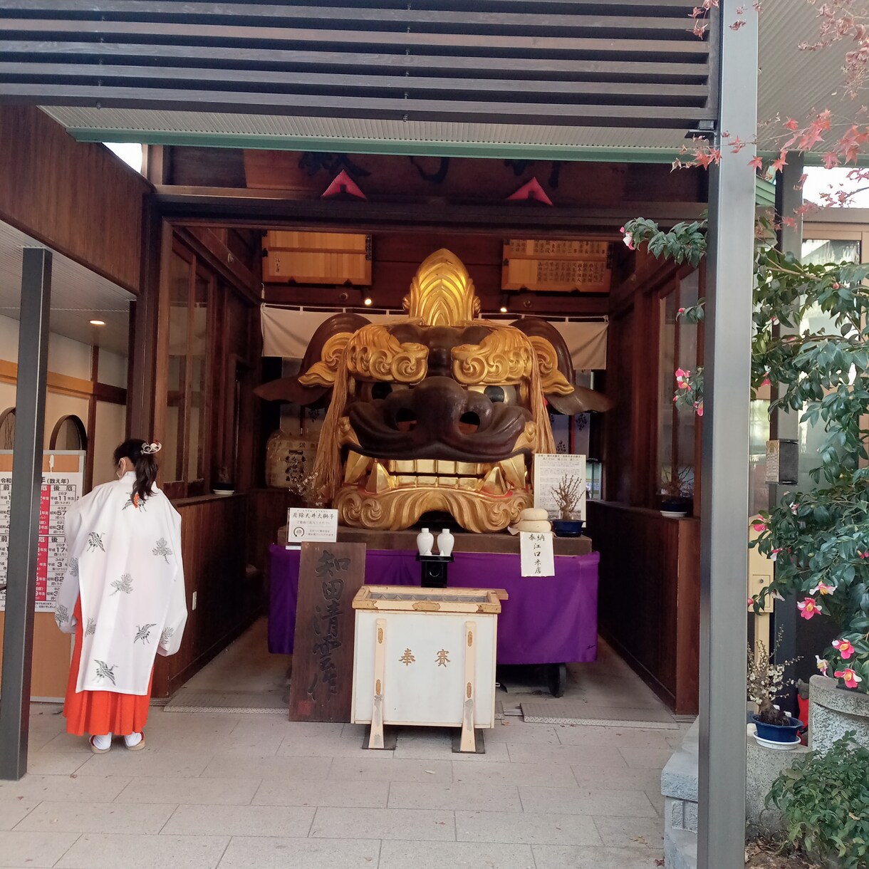 大アルカナを使い1枚引きします 思わしくない場合必ず未来も引きます、時期より流れを拝見します イメージ10