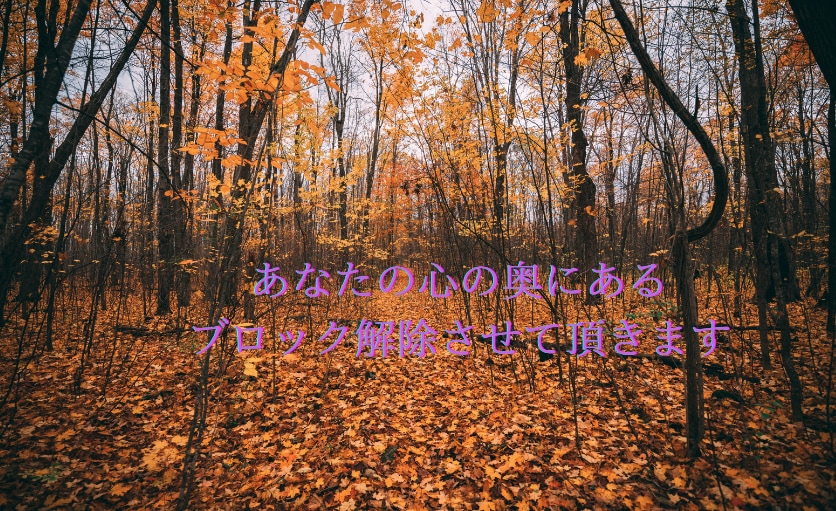 ブロック解除３つさせて頂きます 色々やっているけどなかなかブロックが外せないと悩んでいる方へ イメージ2
