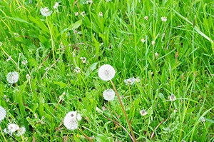秘密の話や周りに言いづらい話、愚痴など聞きます あなたの心が少しでも軽くなるようにお話を聞かせていただきます イメージ1