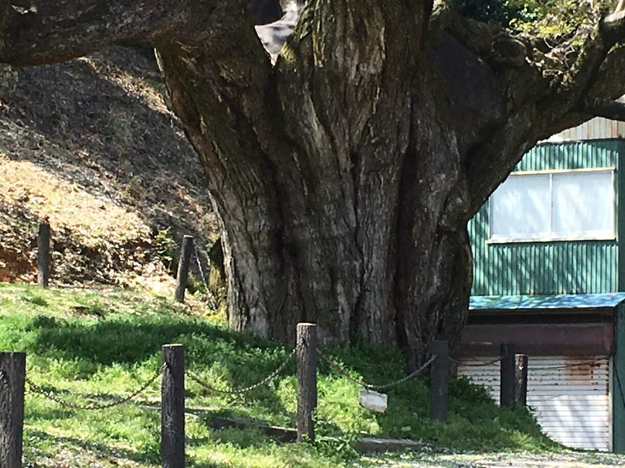 介護現場でのイロイロな愚痴を聴きます あなたは悪くない！言葉に出し、リセットし明日も優しい介護へ☆ イメージ3