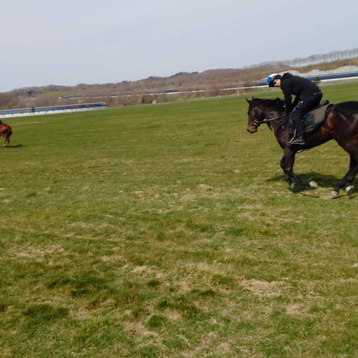 貴重」現役競走馬乗りの私が競馬予想教えます 競馬業界で働いてる人にしか入らない重要な情報あります。 イメージ4