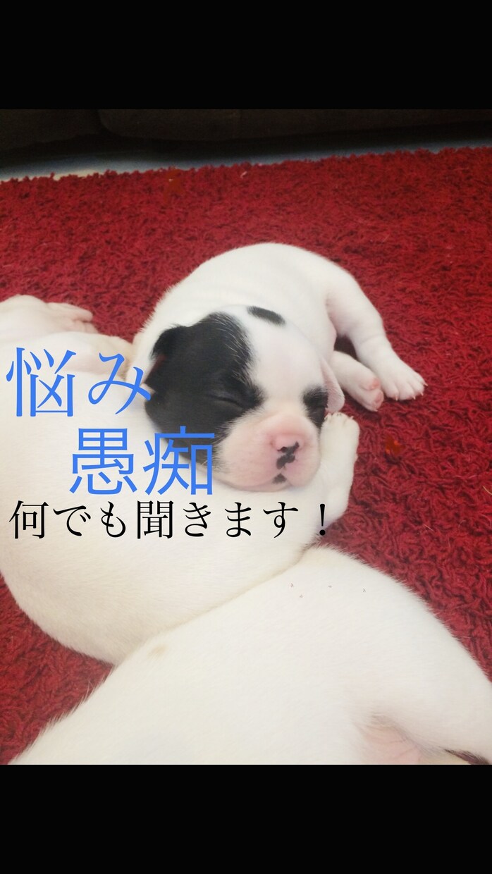 どんな話でもOK！24時間出来るだけ対応します 話を聞いてほしい方、話をしてほしい方待ってます！ イメージ1
