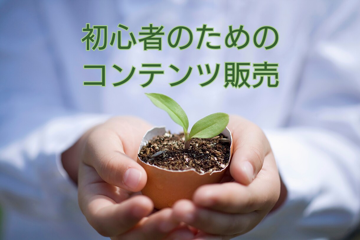 シンプルなやり方で稼ぐ方法教えます 難しい作業を半自動化へ、コンテンツ販売の究極とは イメージ1