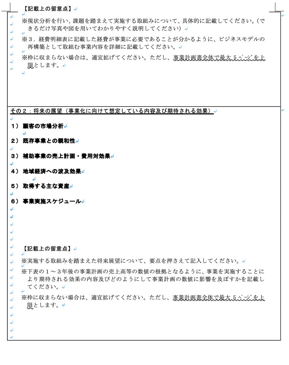 兵庫限定・補助金！ HP制作可の申請書ご提供します 採択された事業計画書とテンプレートをお渡します イメージ4