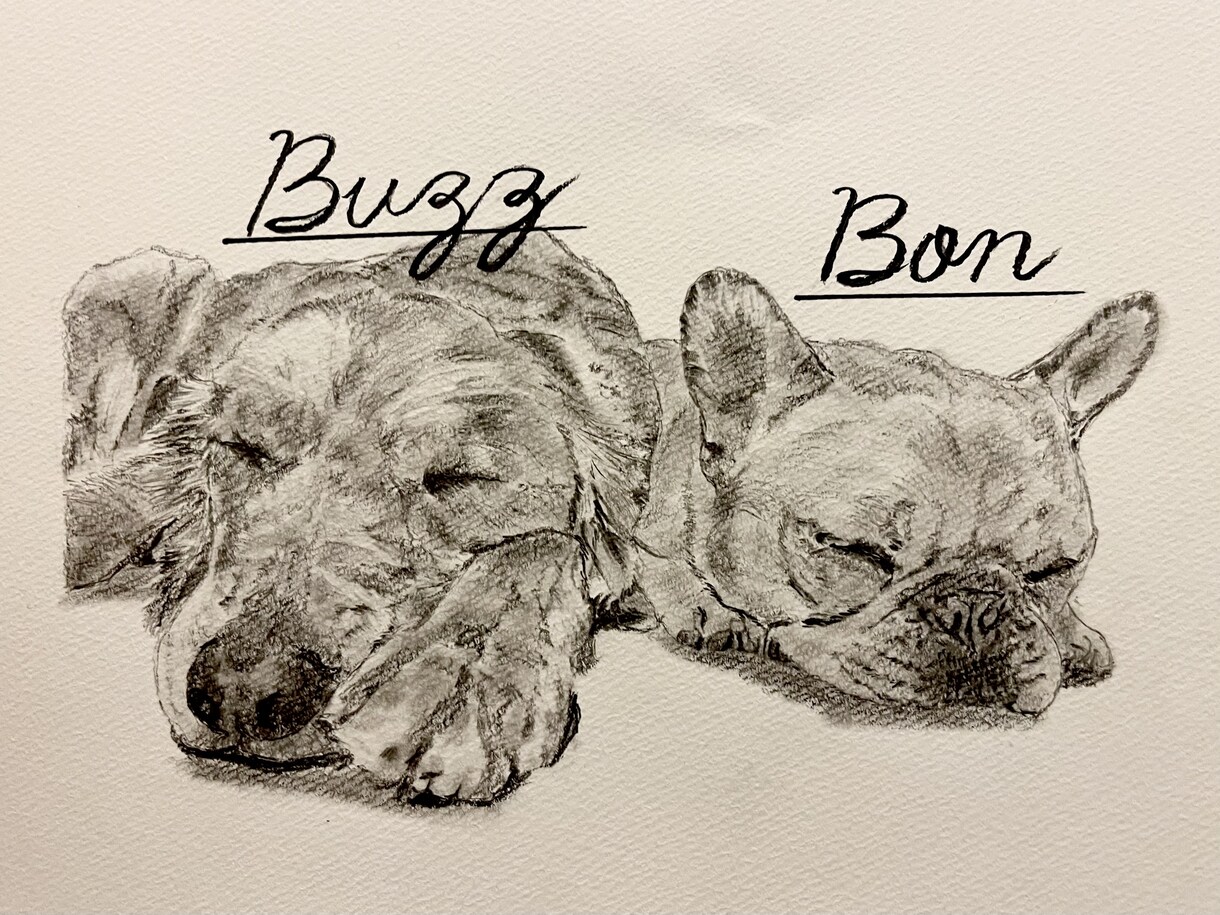 あなたの飼っている愛犬・愛猫可愛く仕上げます デジタルでは味わえない、形に残るものを皆様にお届けしたい イメージ6
