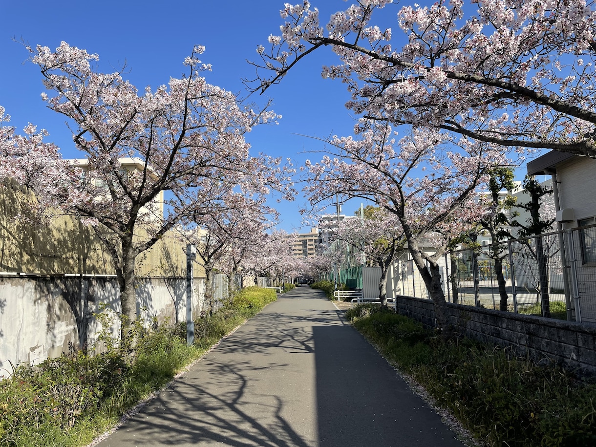 お薬の相談、進路の相談何でも伺います 飲み合わせ、飲み方、お通じ、睡眠、痩せたい、健康に生きたい方 イメージ1