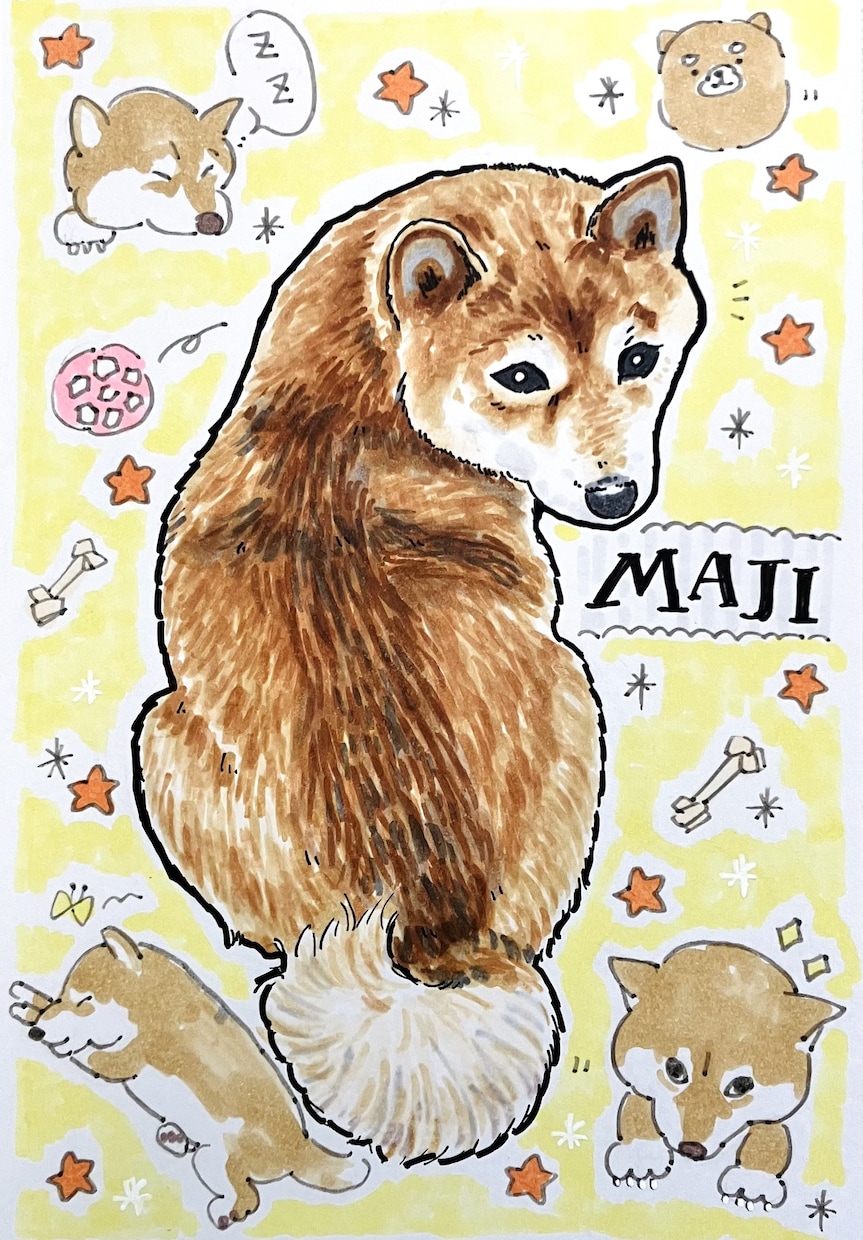 カラフルペット似顔絵。うちの子イラスト描きます うちの子記念日、誕生日プレゼント、ペット友達のプレゼントにも イメージ8