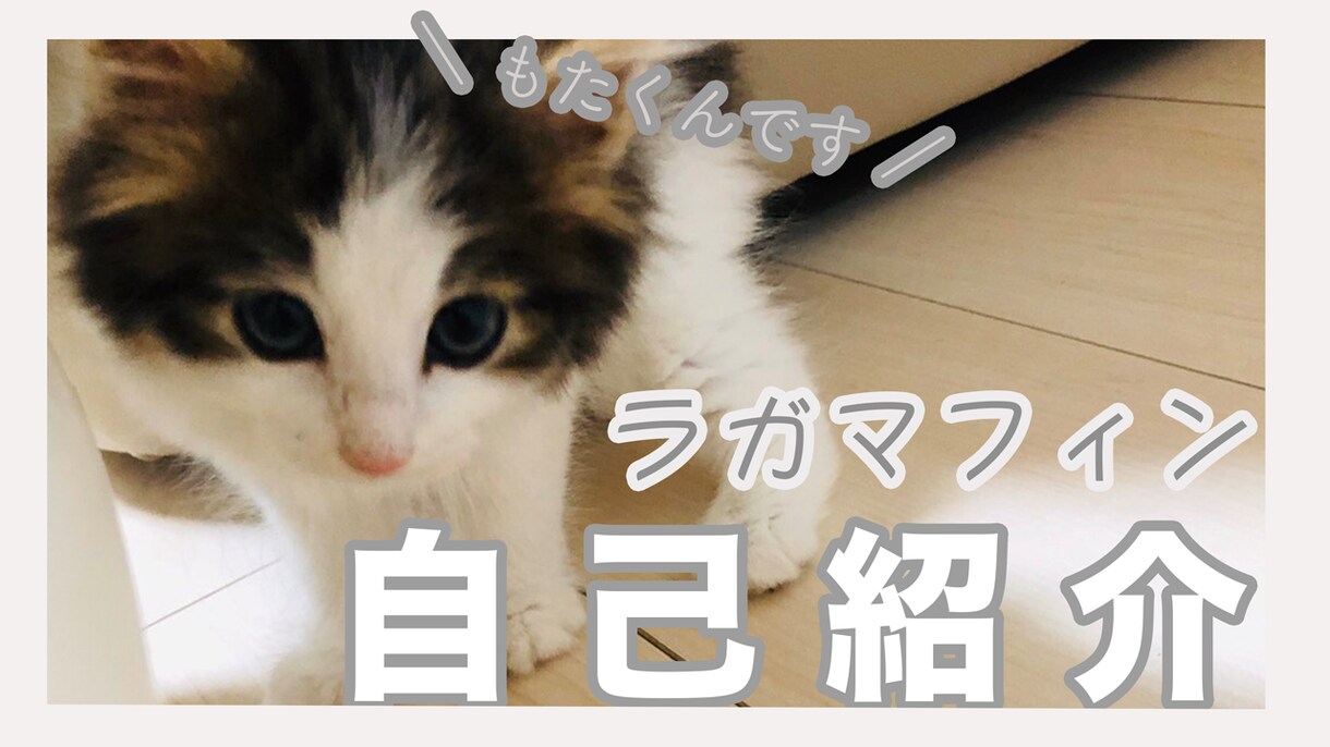 格安で動画編集代行させて頂きます 実績を積むために格安でお受けします！ イメージ2