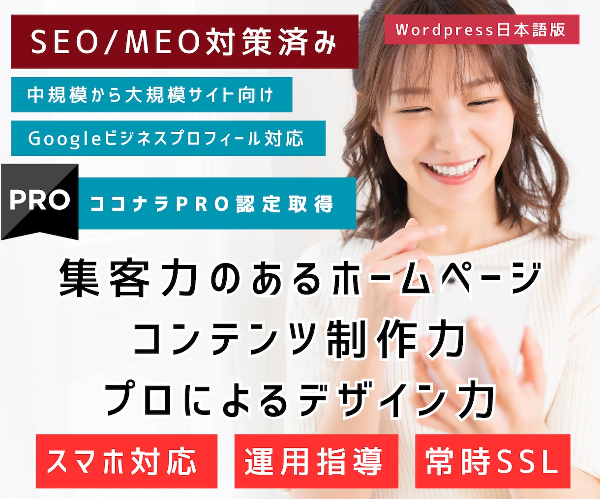 中規模〜大規模サイトの最高品質ホームページ制作ます Wordpressでのフルオリジナル・フルカスタムWEB制作 イメージ1