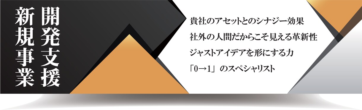 新規事業開発のアイデア出しと実行支援を行います プロのビジネスプロデューサーがハンズオンでサポートします！ イメージ1