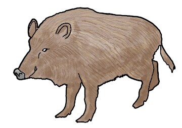 イメージのようなテイストのイラストを描きます リアリティがありながら、可愛らしさのあるイラストが得意です。 イメージ4