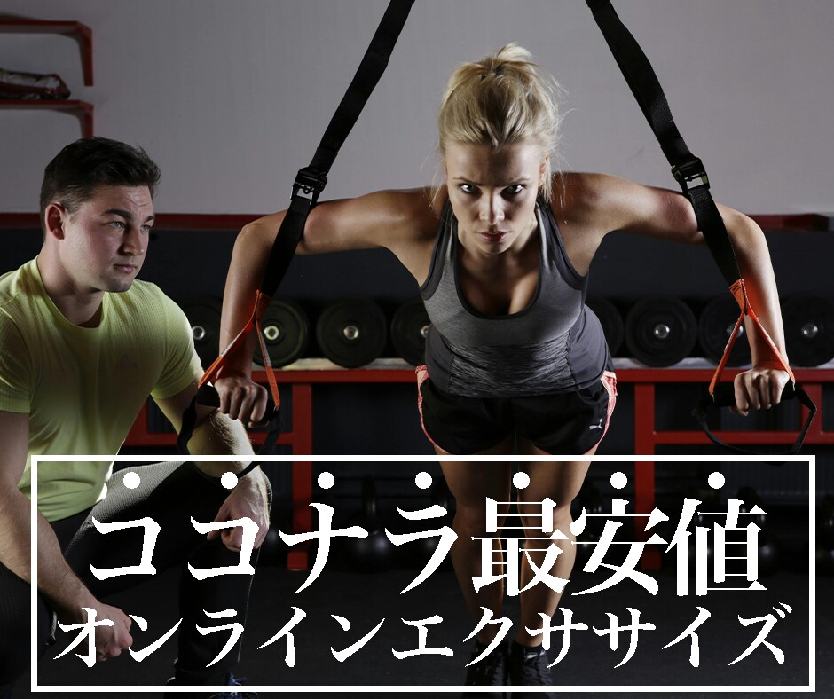 エクササイズレッスン＆メニュー作成します 健康寿命をのばすエクササイズで、生涯自分で歩く身体になろう！ イメージ1