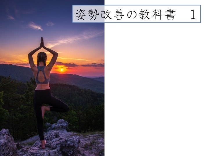 姿勢改善の教科書1〜3まとめて売ります ねこ背が気になるあなたにオススメ！！ イメージ2