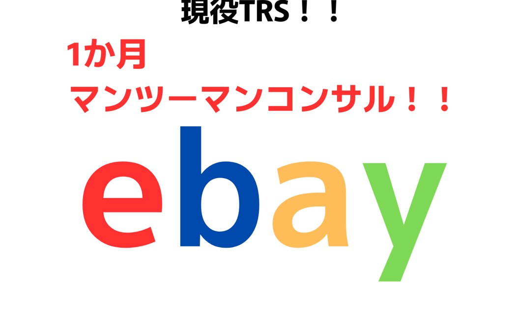 eBay初心者さん1か月コンサルします マンツーマンのコンサル受付中！ イメージ1