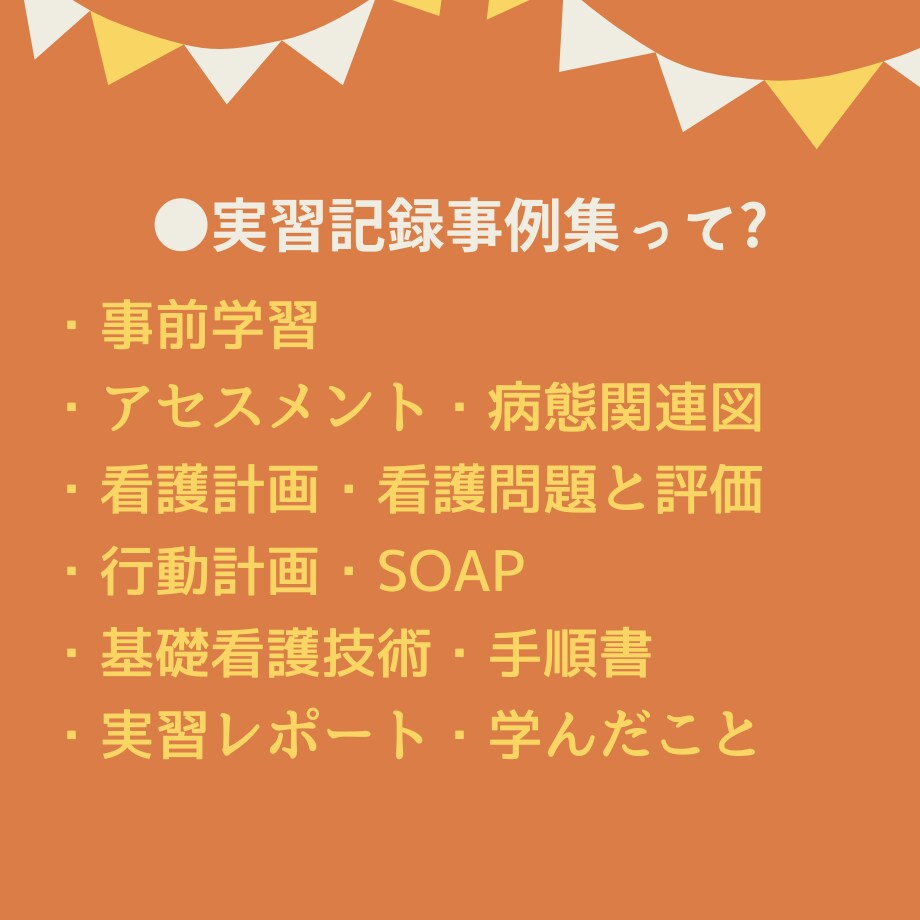 看護実習記録集★アセスメントのテンプレ教えます 超絶安心！看護実習【まるごと】パック★実習記録事例、報告、等 イメージ5