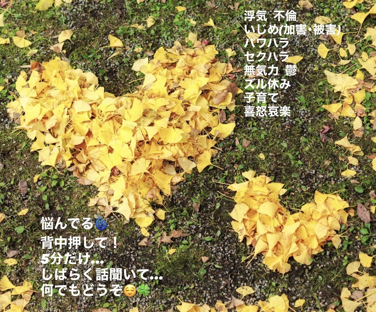 お話し何でも聞きます お金の相談以外なら、何でも聞きます(笑) イメージ1