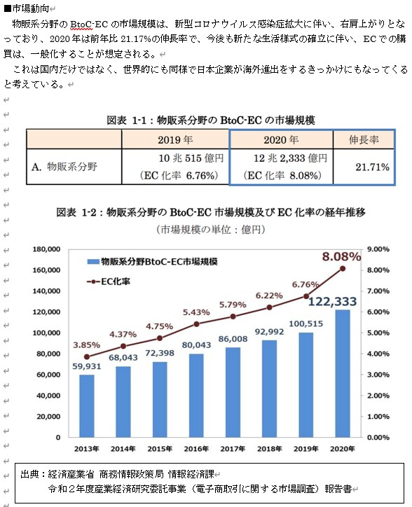 1枠∥小規模事業者持続化補助金の計画書を支援します 【ココナラNo1】短納期・高品質で個人／法人の採択実績多数 イメージ6