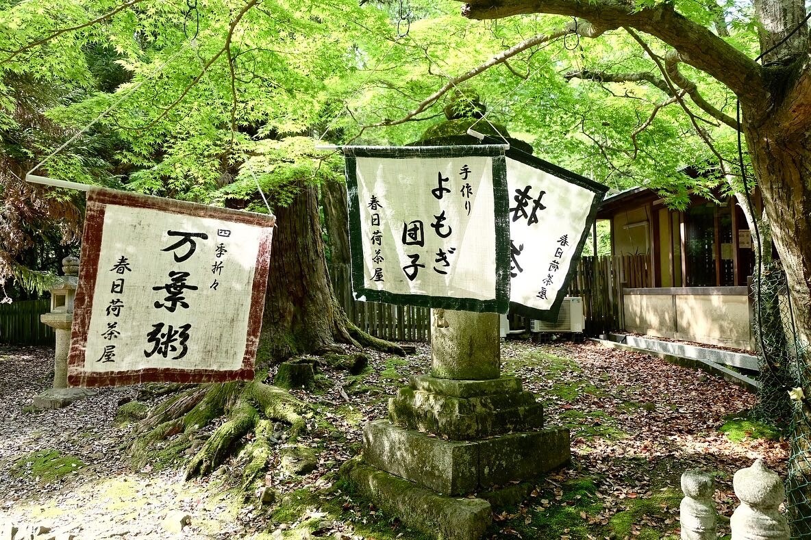 女性目線の写真(主に近畿)販売いたします 主に京都や関西で撮った観光地や自然の写真を販売致します。 イメージ6