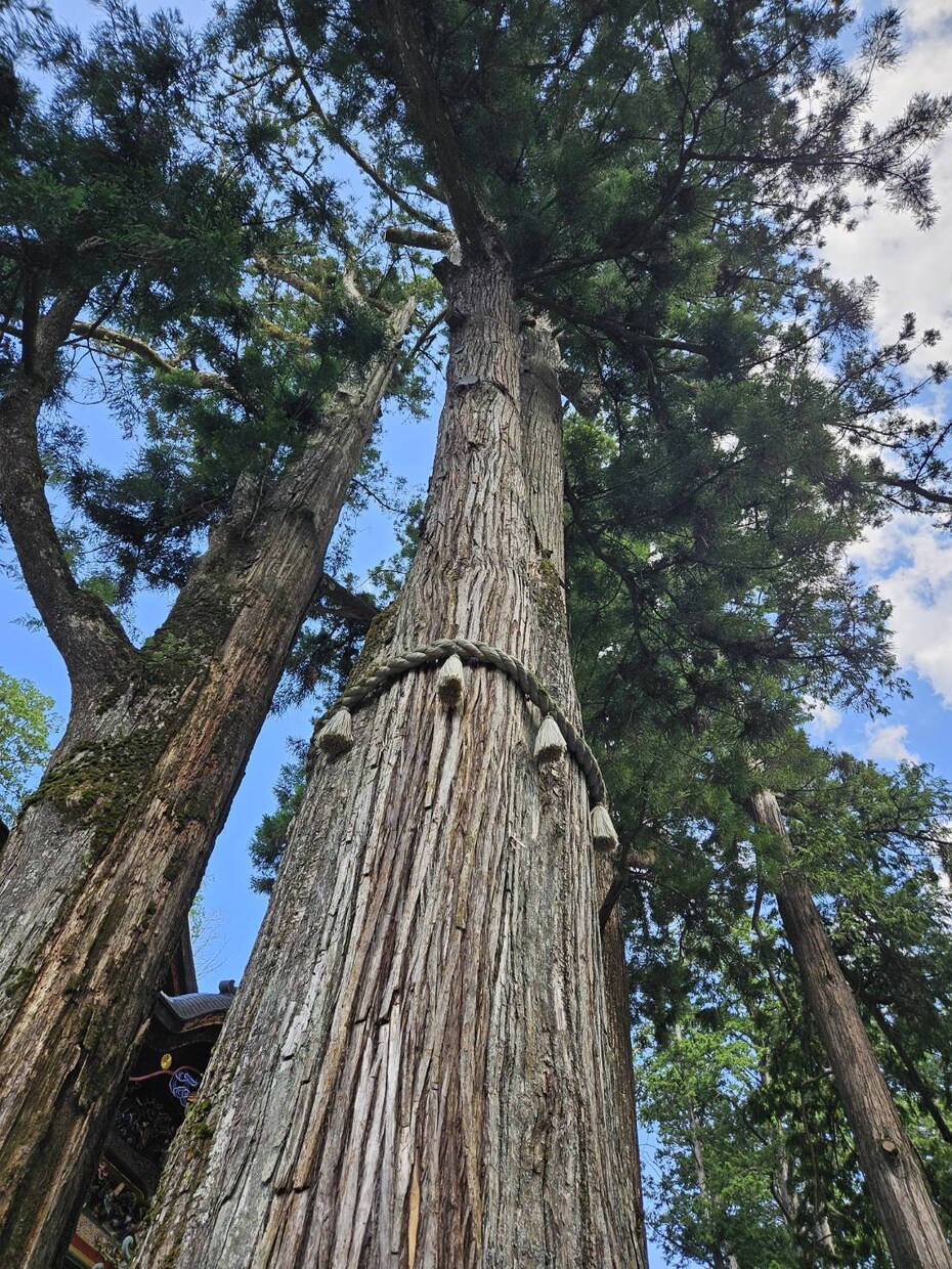 運気の流れを正しく知って望む未来を引き寄せます 変わりたいと思うならば運気を知ることは必須 イメージ5